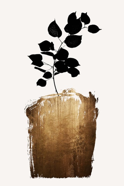 Illustration einer Pflanze mit Blättern in einem goldenen Topf