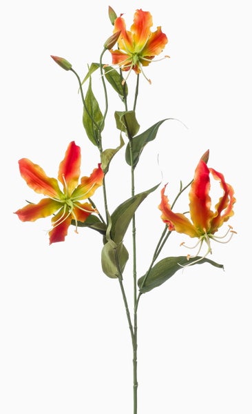 Künstliche Ruhmeskrone Gloriosa in Orange und Gelb mit gewellten Blütenblättern und langen Staubblättern.