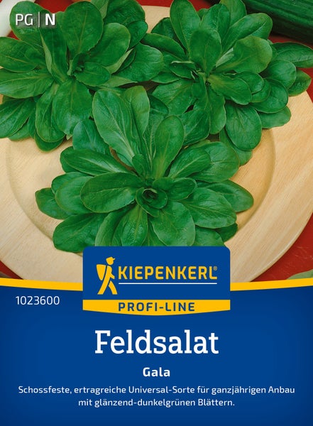 Saatgut für Feldsalat Sorte Gala von Kiepenkerl Profi Line, eine schossfeste Sorte für den ganzjährigen Anbau.