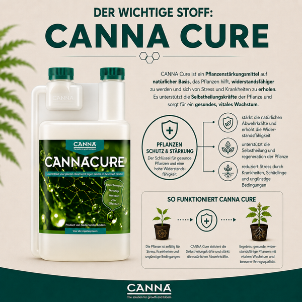 Infografik zum Pflanzenschutzmittel CANNA CURE in der Flasche mit Informationen zu Anwendung, Wirkungsweise und Stärkung der Pflanzen.