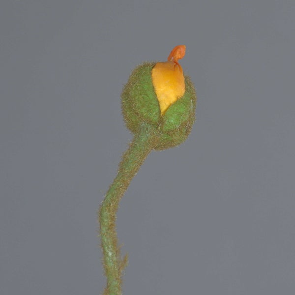 Künstliche Blume Löwenmaul gelb mit Blüten und Knospen am Stiel.