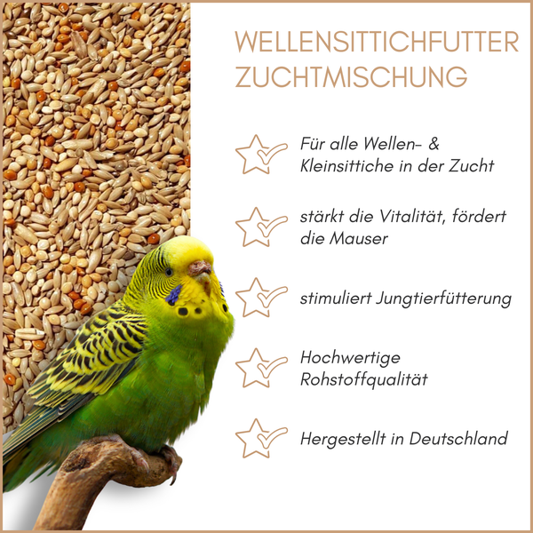 Wellensittichfutter Zuchtmischung mit Wellensittich auf einem Ast