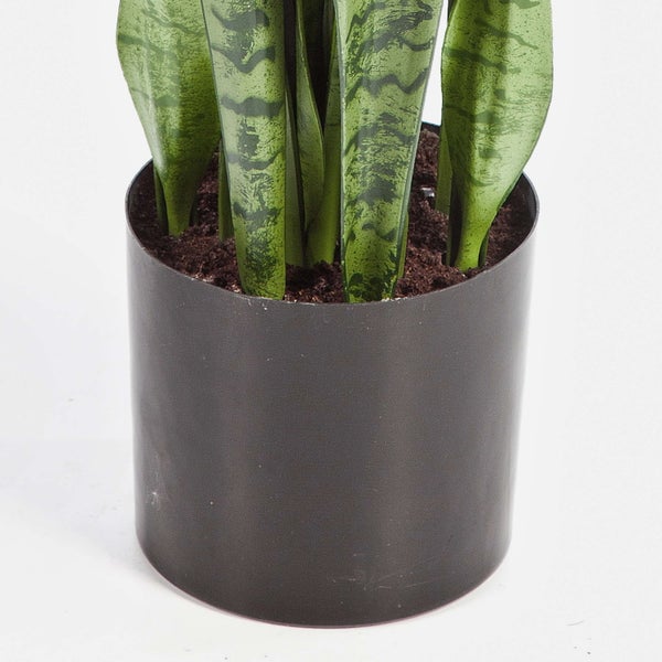 Kunstpflanze Bogenhanf Sansevieria im schwarzen Topf mit künstlicher Erde.