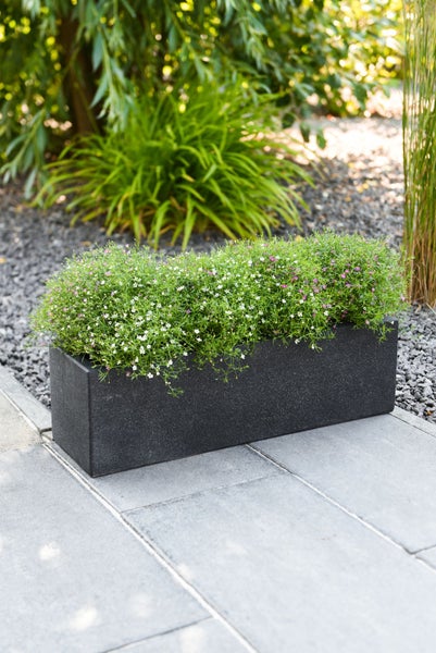 Rechteckiger dunkler Pflanzkasten mit kleinen blühenden Pflanzen in einem gestalteten Garten mit Steinplatten und Kies.
