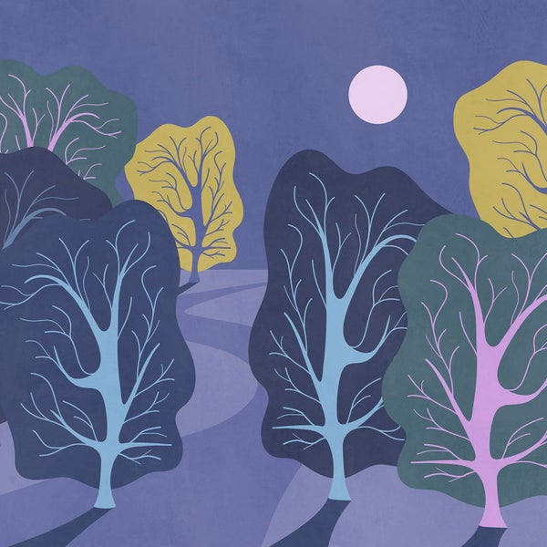 Illustration einer nächtlichen Landschaft mit Bäumen und Mond