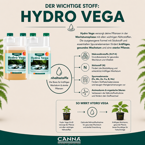 Produktübersicht CANNA Hydro Vega Dünger A und B für die Wachstumsphase mit Informationen zu Inhaltsstoffen und Wirkung für kräftige Pflanzen.