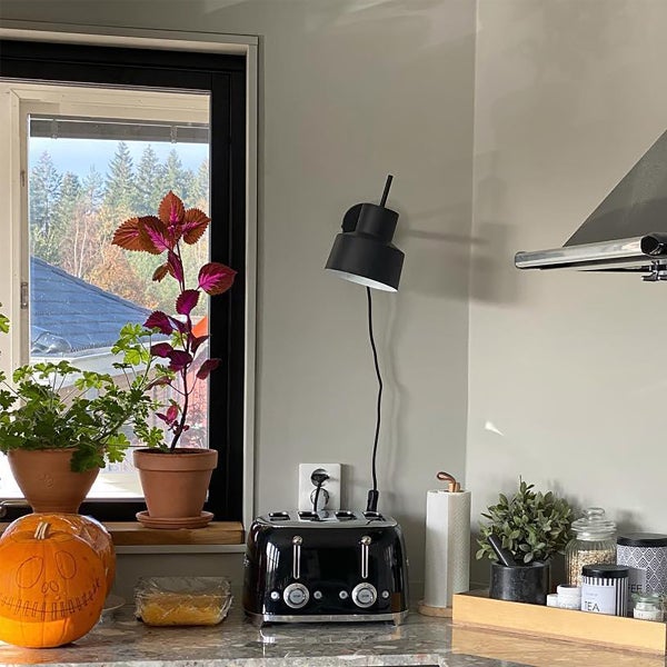Küchenszene mit Toaster, Lampe und Pflanzen auf einer Arbeitsplatte