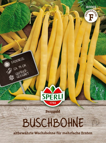Sperli Saatgut Buschbohne Berggold, fadenlose Wachsbohnen mit etwa 14 Zentimeter Hülsenlänge, gefriergeeignet.