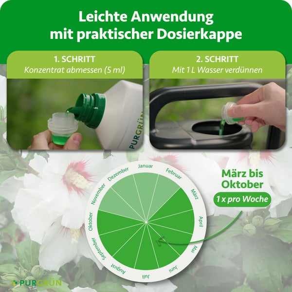 Anwendung von Flüssigdünger: 5 Milliliter Konzentrat mit 1 Liter Wasser verdünnen. Von März bis Oktober einmal wöchentlich anwenden. Purgrün Logo.