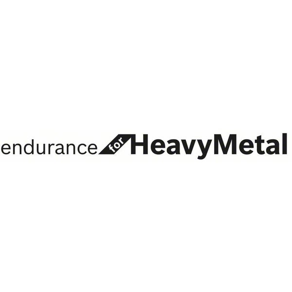 Endurance for Heavy Metal Logo