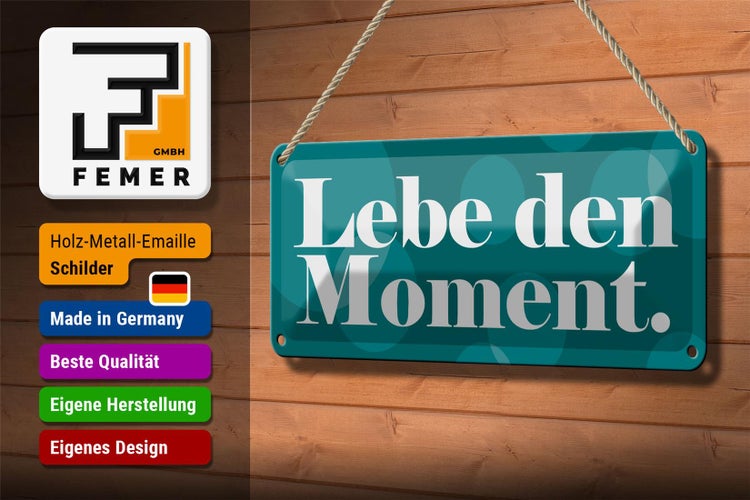 Blechschild Spruch 27x10cm Lebe den Moment Dekoration