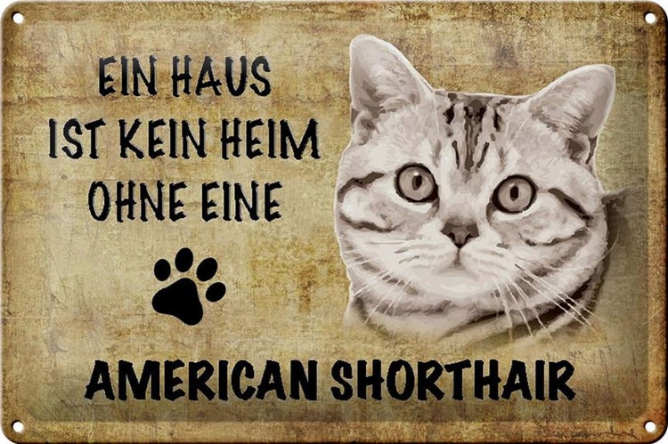 Blechschild Spruch 30x20cm American Shorthair ohne kein Heim