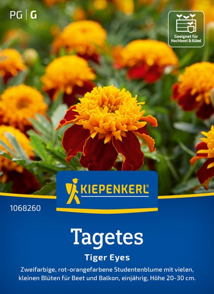 Saatgut Kiepenkerl Tagetes Tiger Eyes Studentenblume für Beet und Balkon