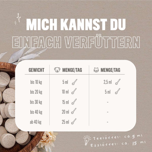 ALPHAZOO Premium Lachsöl 250ml für Hunde und Katzen I Natürliches Omega-3 Fischöl