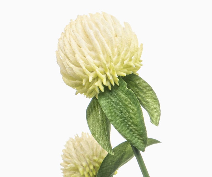 Künstliche Kleepflanze mit weißen Blütenköpfen und grünen Blättern.