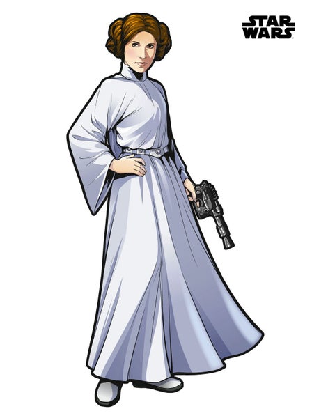 Disney Wandtattoo Star Wars Prinzessin Leia XXL Grau - 127 x 170 cm - 612426