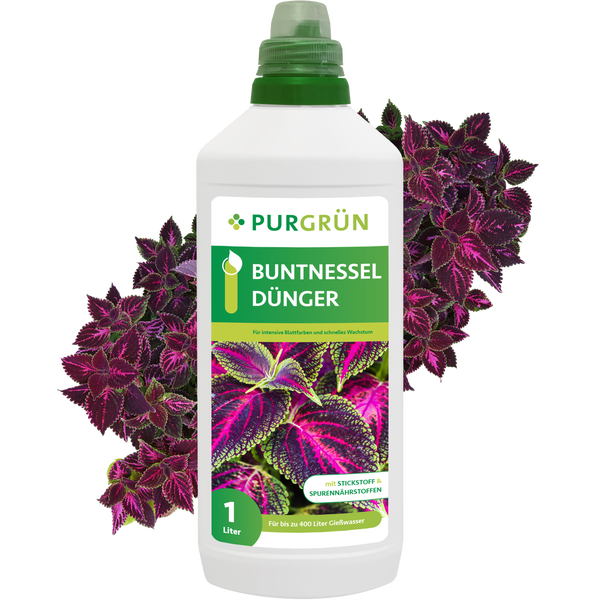 Purgrün Buntnessel-Dünger 1 Liter