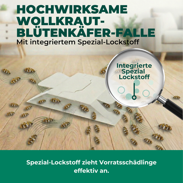Hocheffektive Wollkrautblütenkäferfalle mit integriertem Spezial Lockstoff zur Schädlingsbekämpfung.