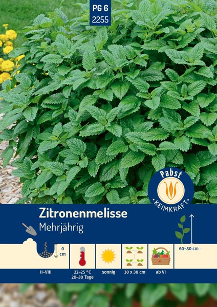 Samentüte für mehrjährige Zitronenmelisse. Pabst Logo. Aussaat Februar bis August, sonnig, Ernte ab Juni, Wuchshöhe 60 bis 80 Zentimeter.
