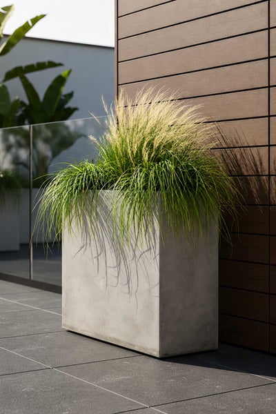 Rechteckiges Pflanzgefäß in Betonoptik auf einer modernen Terrasse mit Ziergras vor einer Holzwand.