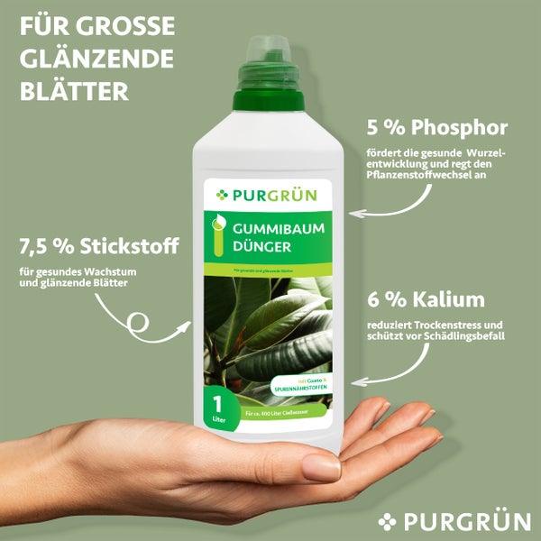 Purgrün Gummibaum-Dünger 1 Liter