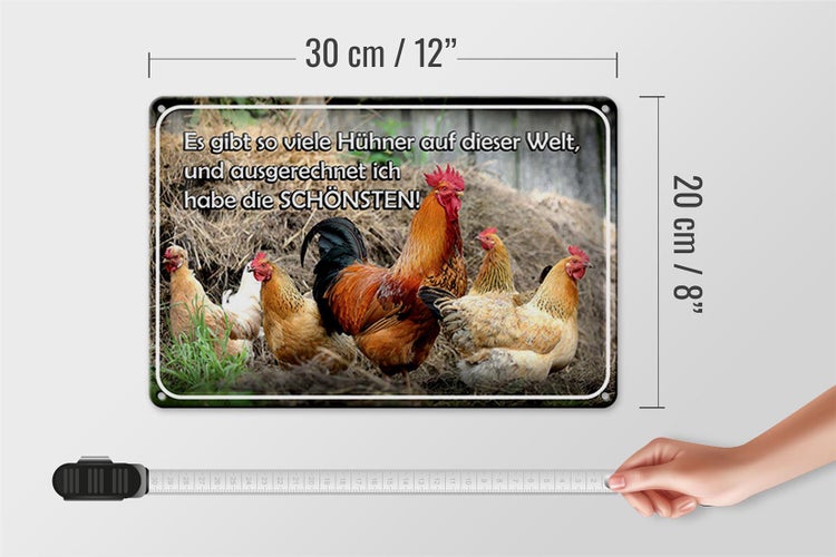 Blechschild Spruch 30x20cm es gibt so viele Hühner und