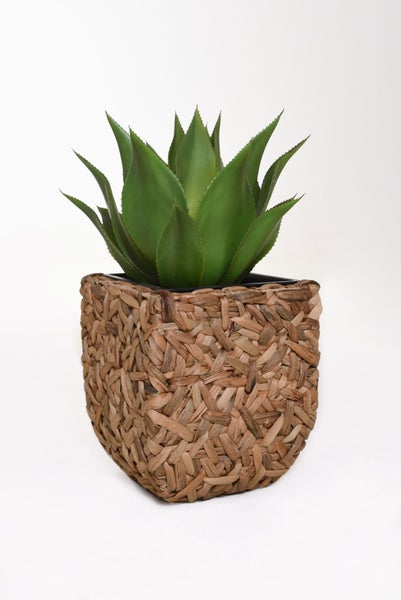Künstliche Agave in einem geflochtenen quadratischen Topf