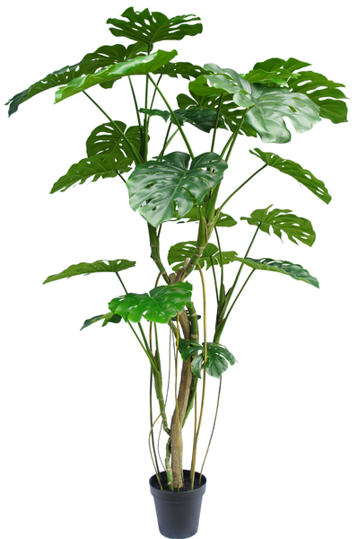 Künstliche Pflanze Monstera 210 cm