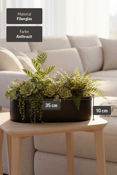 Anthrazitfarbene Pflanzschale aus Fiberglas, 35 Zentimeter breit und 10 Zentimeter hoch, bepflanzt auf einem Tisch in einem hellen Wohnzimmer.