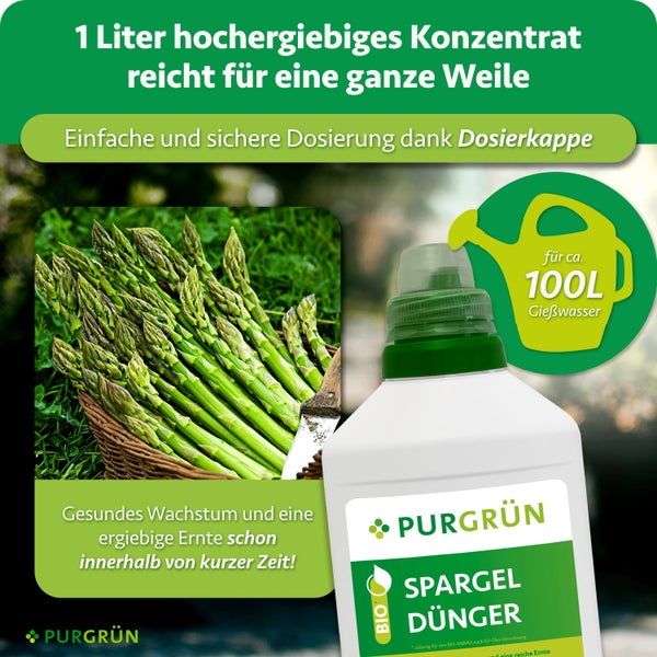 Eine Flasche PURGRÜN Spargel Dünger Konzentrat zur einfachen Dosierung für gesundes Pflanzenwachstum und eine ertragreiche Ernte.