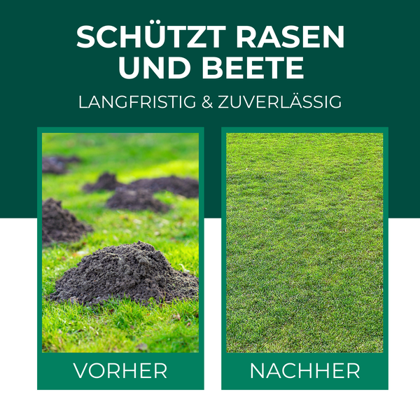 Silberkraft Wühlmaus- und Maulwurf-Vertreiber Granulat 200 g, Effektive Wühlmausabwehr für Garten, Beete & Rasen, Maulwurf bekämpfen und vertreiben, Alternative zu Wühlmausschreck & Gift