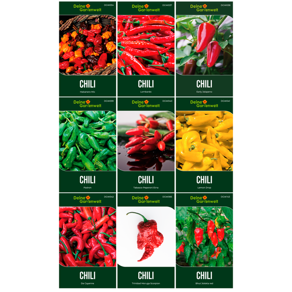 Neun Saatgutpackungen für verschiedene Chili-Sorten von Deine Gartenwelt, darunter Habanero Mix, Jalapeno, Padron und Trinidad Moruga Scorpion.