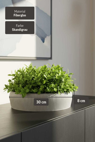 Runder Pflanztopf aus Fiberglas in Skandigrau mit 30 Zentimeter Durchmesser und 8 Zentimeter Höhe, bepflanzt auf einer dunklen Kommode.