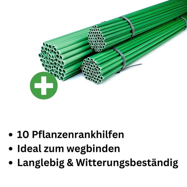 10x Pflanzenrankhilfen in 120 cm, 8 mm Durchmesser aus Kunststoff – Robustes, witterungsbeständiges Kletterhilfe-System für Garten & Balkon, ideal für Tomaten, Bohnen & mehr