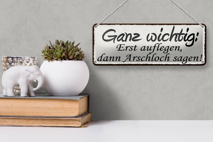 Blechschild Spruch 27x10cm Erst auflegen dann Arschloch Dekoration