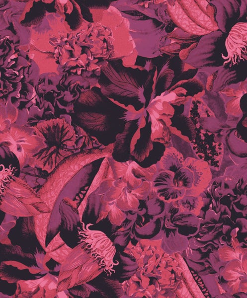 Zimmerpflanze, Steckenpalme im Topf