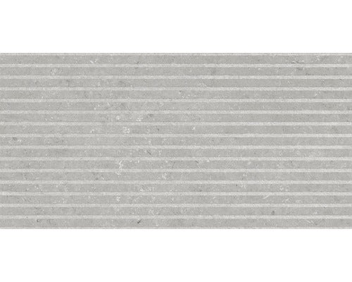 Dekorfliese Rigat-one Shellstone grigio 60x120cm