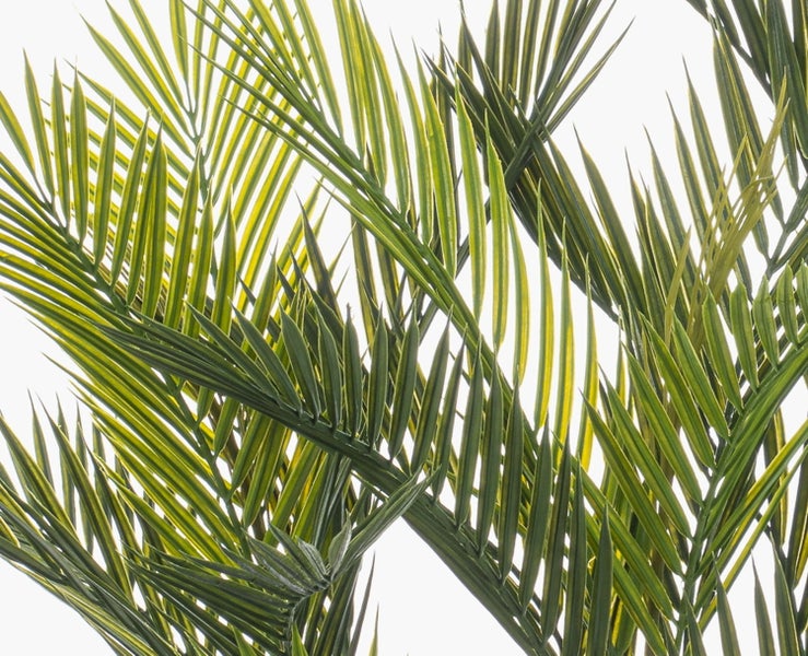 Detailaufnahme grüner Palmblätter einer Kunstpflanze.