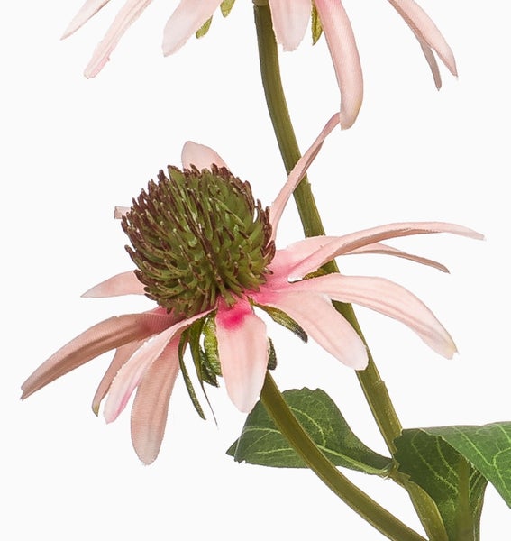 Künstliche Schmucklilie Agapanthus mit weißen Blüten in einem schwarzen Kunststofftopf.