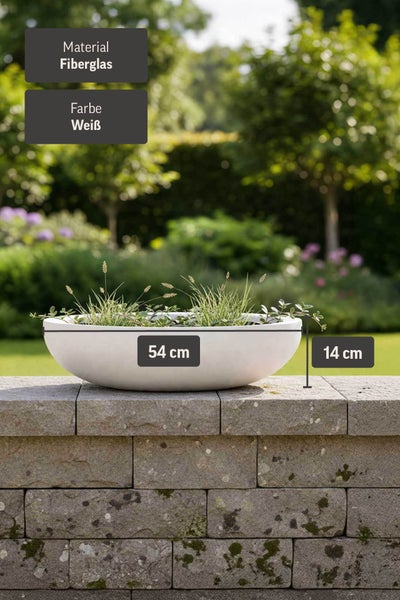 Flache, weiße Pflanzschale aus Fiberglas mit einem Durchmesser von 54 Zentimeter und einer Höhe von 14 Zentimeter auf einer Gartenmauer.