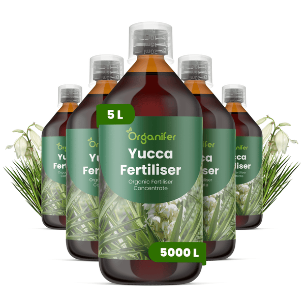 Organifer Yucca Dünger, organisches Düngerkonzentrat, fünf Flaschen zu je 5 Liter, ergibt 5000 Liter Gießwasser.