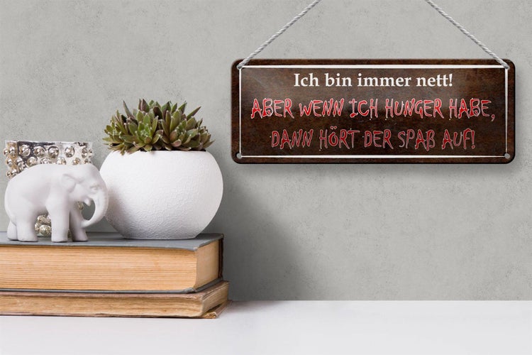 Blechschild Spruch 27x10cm ich nett aber wenn ich Hunger Dekoration