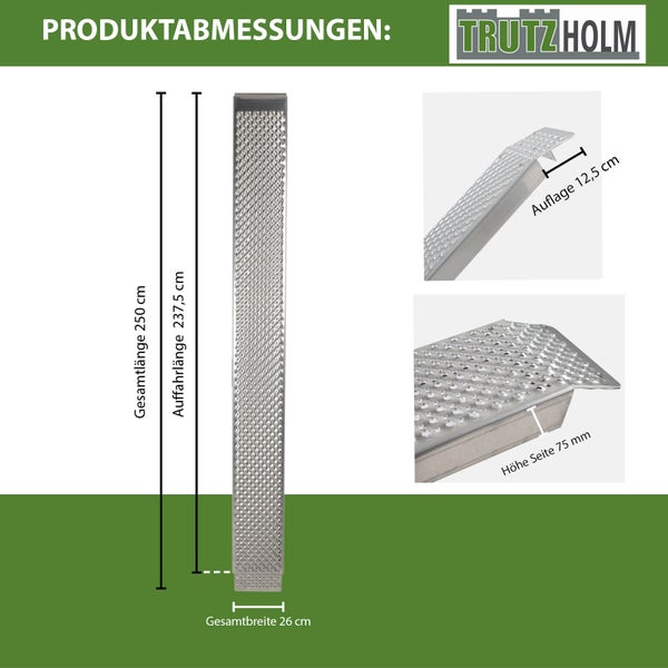 TRUTZHOLM 2 x Auffahrrampen 250 cm Traglast 1000 kg Alu grau gelocht Motorradrampen Verladerampen