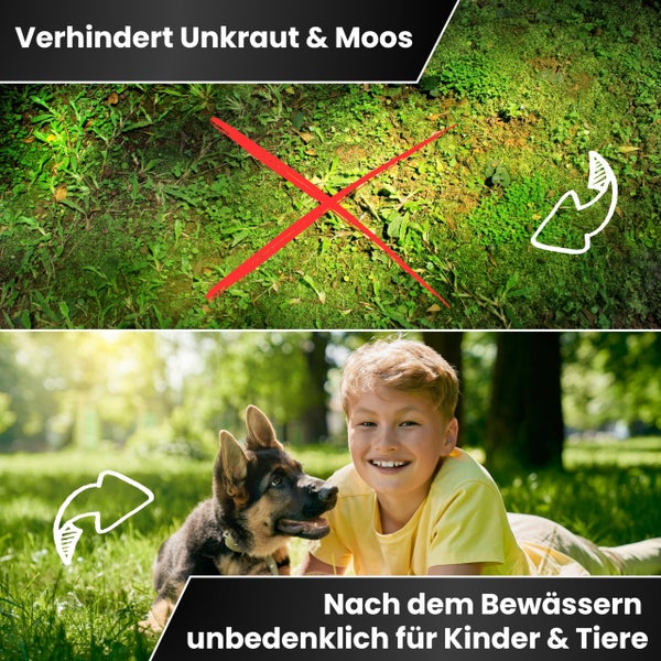 Greenyp Langzeit Rasendünger I 10kg für 300m² I mit Langzeitwirkung für Frühjahr bis Spätsommer I verhindert Moosbildung I NPK Dünger Rasen Dünger