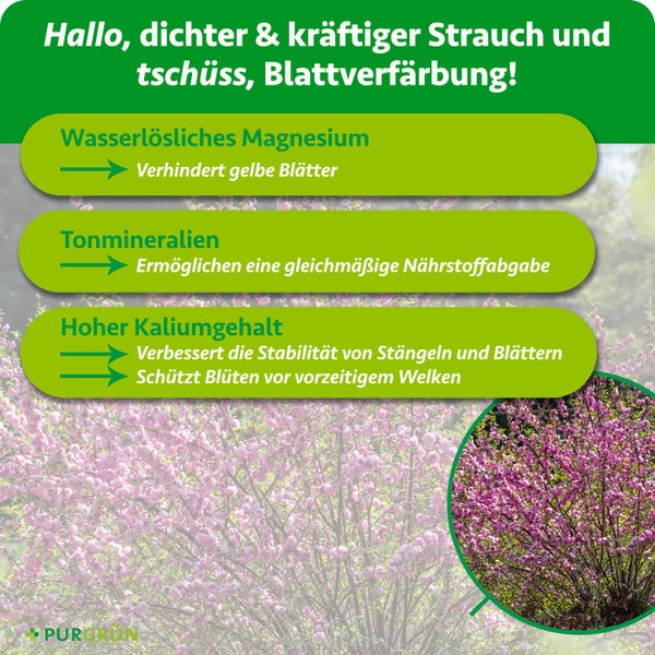 Purgrün Logo, Strauchdünger für circa 8 Sträucher, 1 Kilogramm feines Granulat zur Neupflanzung und Pflege, für gesundes Wachstum und bunte Blüten.