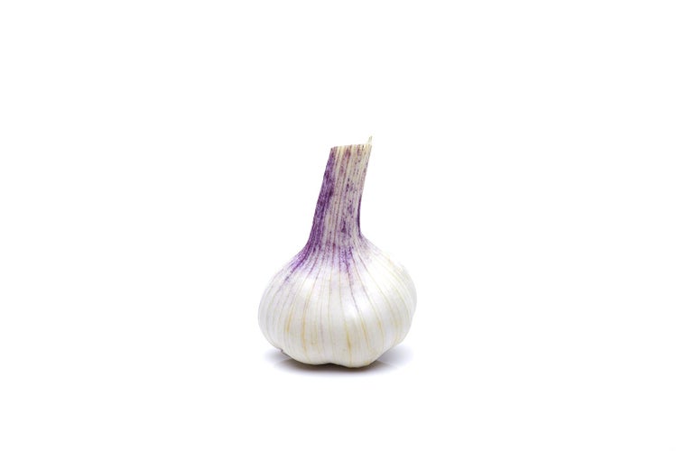 Allium sativum var. sativum, Knoblauch, ca. 9x9 cm Topf