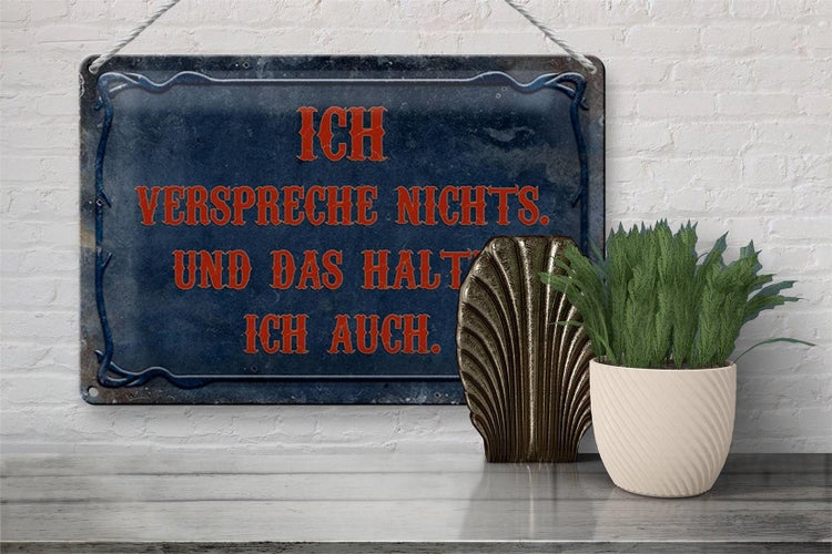 Blechschild Spruch 30x20cm verspreche nichts das halte auch