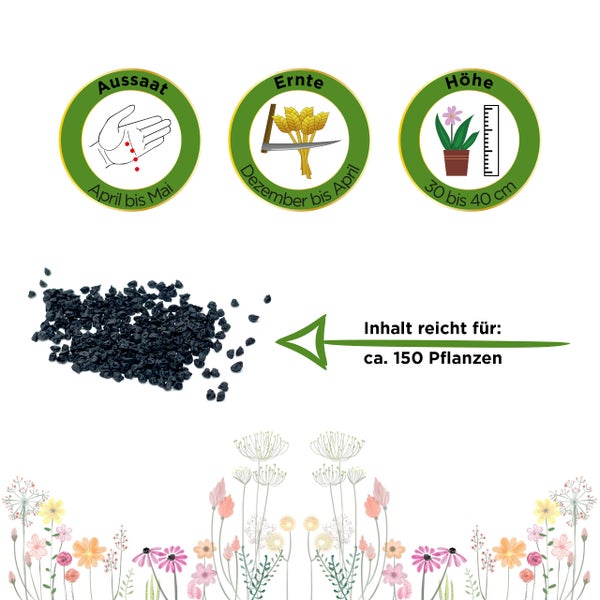 Aussaat April bis Mai, Ernte Dezember bis April, Wuchshöhe 30 bis 40 Zentimeter, Inhalt für circa 150 Pflanzen.