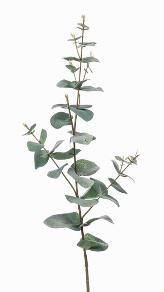 Künstlicher Eukalyptuszweig mit runden grünen Blättern.