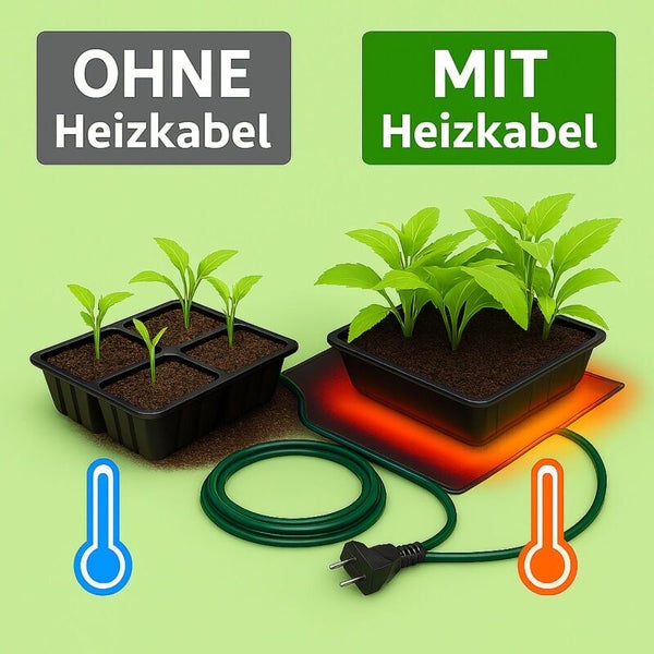 Vergleich des Pflanzenwachstums in einer Anzuchtschale ohne Heizkabel und mit Heizkabel für eine schnellere Keimung.